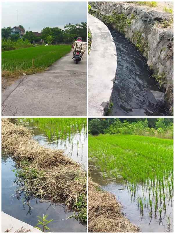 tanah wisata ponggok klaten