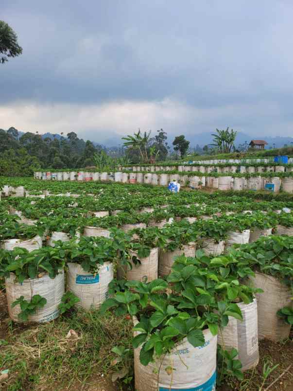 villa jl raya ciwidey kab