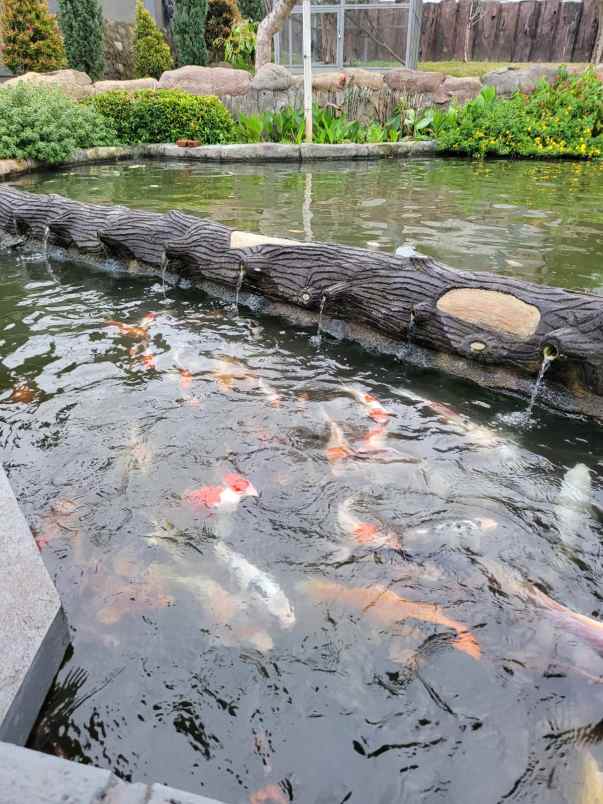 villa jl raya ciwidey kab