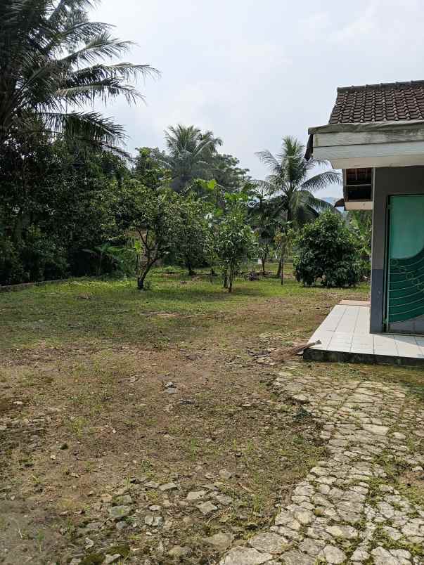 dijual rumah cikembar sukabumi harga nego