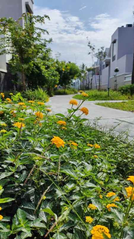 dijual rumah cluster fashagriya