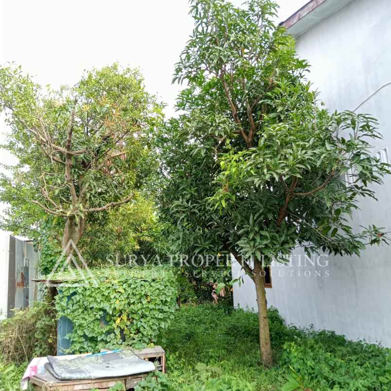 dijual rumah jalan platina iv medan deli