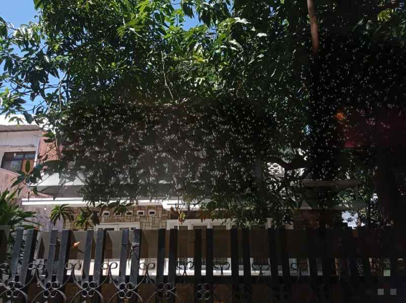 dijual rumah jl dr soetomo surabaya