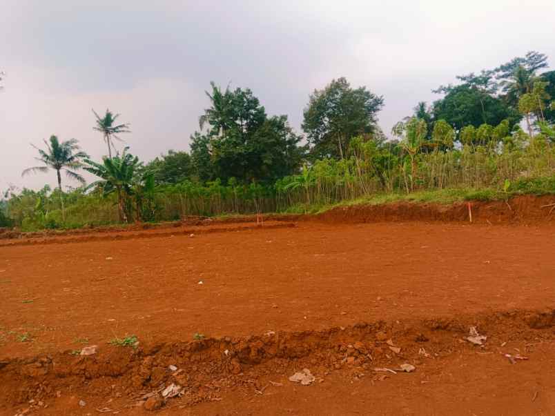 dijual rumah krajan boja dekat mijen