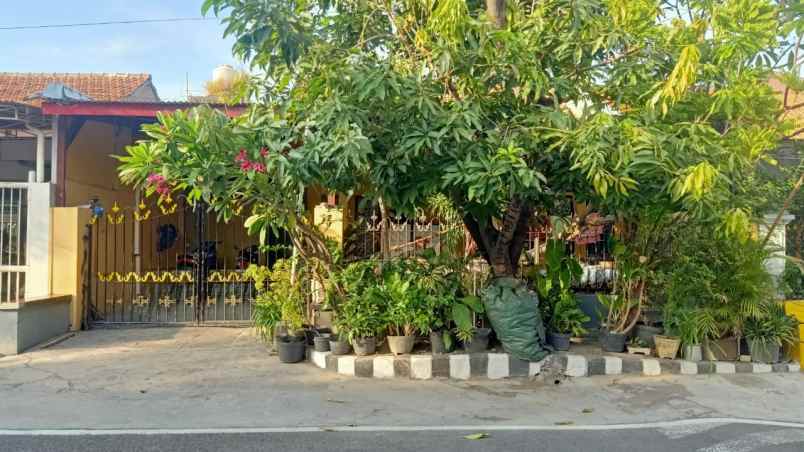 dijual rumah rungkut asri