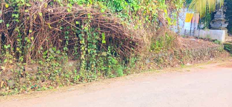 dijual tanah 4258 m2 di keramas blahbatuh gianyar bali