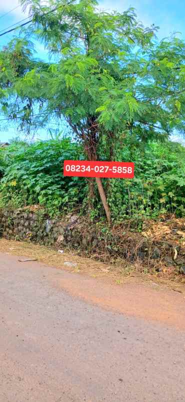 dijual tanah 4258 m2 di keramas blahbatuh gianyar bali