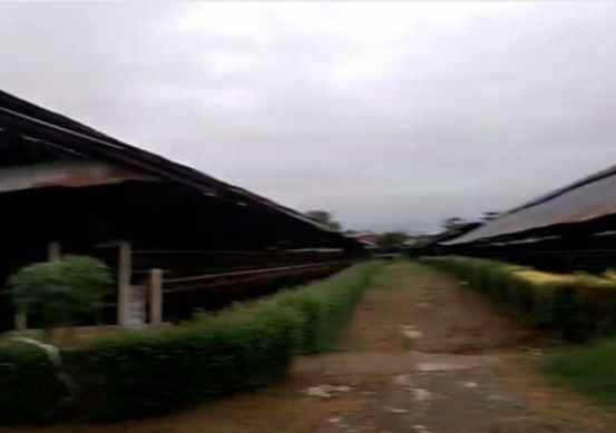 dijual tanah 5 5 ha cimuning kota bekasi