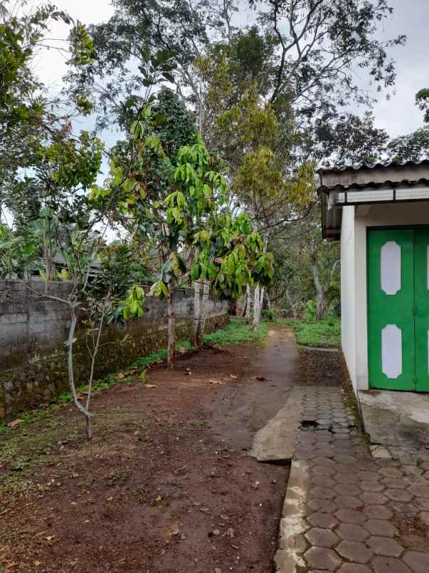 dijual tanah ada bangunan ngancar bawen semarang