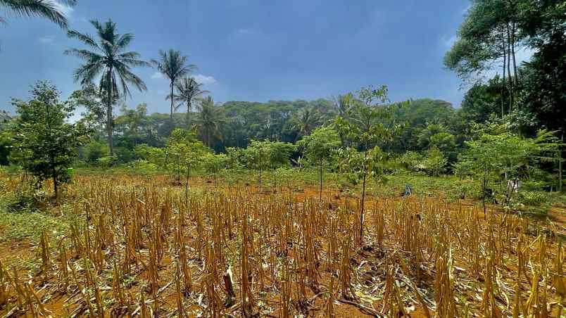 dijual tanah darangdan