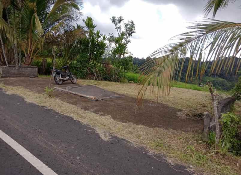 dijual tanah desa belimbing kec pupuan