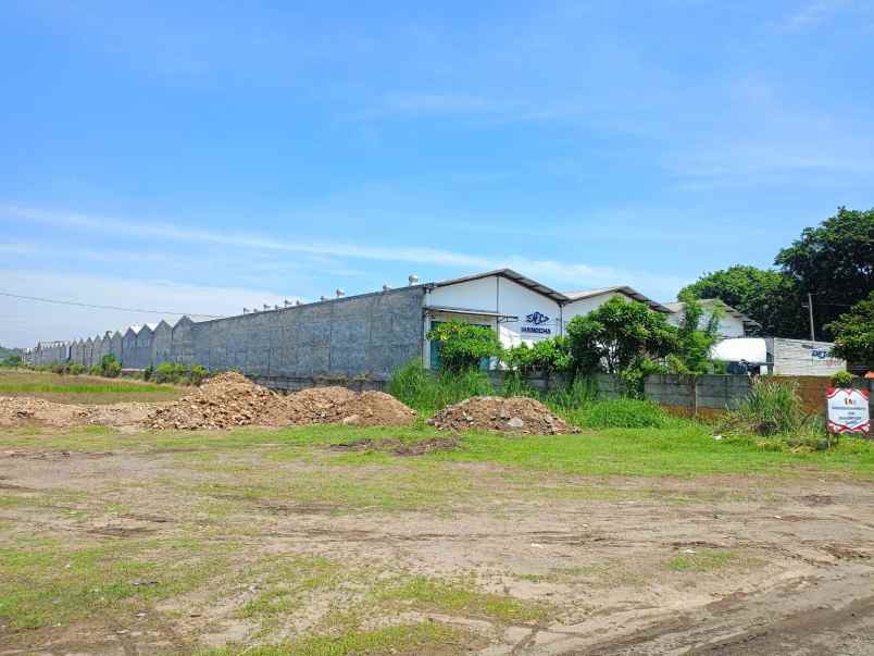 dijual tanah desa cangkir driyorejo gresik