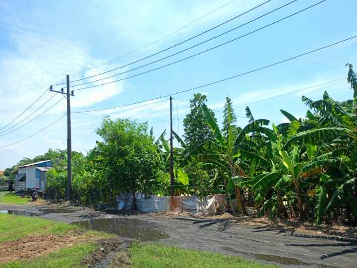 dijual tanah desa cangkir driyorejo gresik