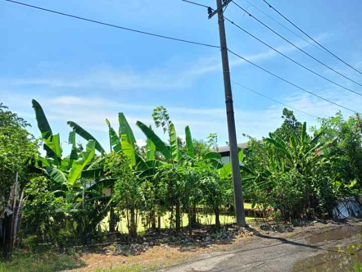 dijual tanah desa cangkir driyorejo gresik