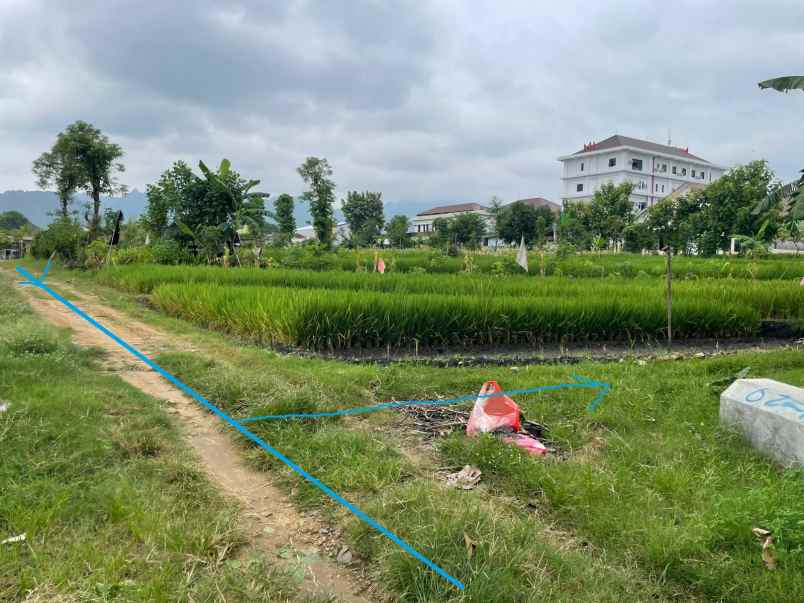 dijual tanah desa klampisan kaliancar