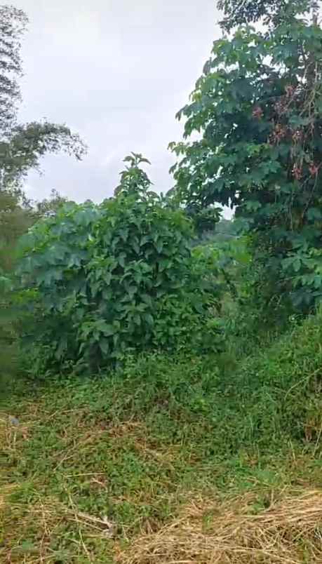 dijual tanah dijual tanah di depan