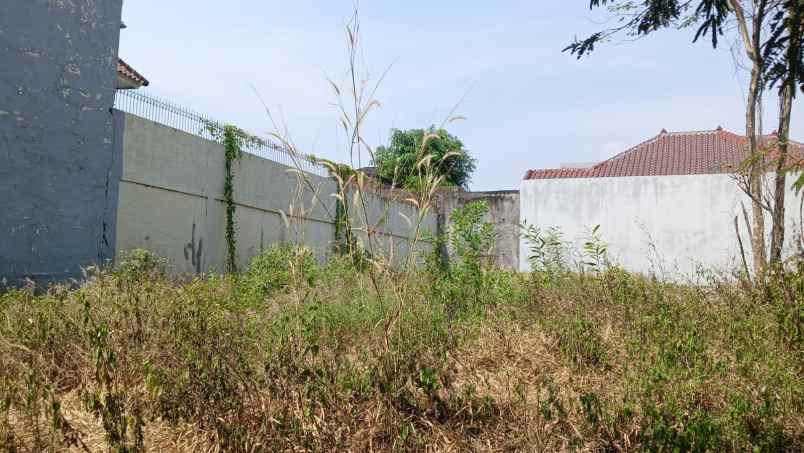 dijual tanah greenwood
