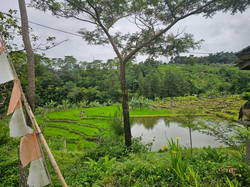 dijual tanah gunung bunder 2 pamijahan