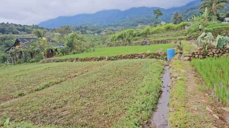 dijual tanah gunung bunder 2 pamijahan