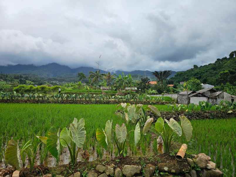 dijual tanah gunung bunder 2 pamijahan