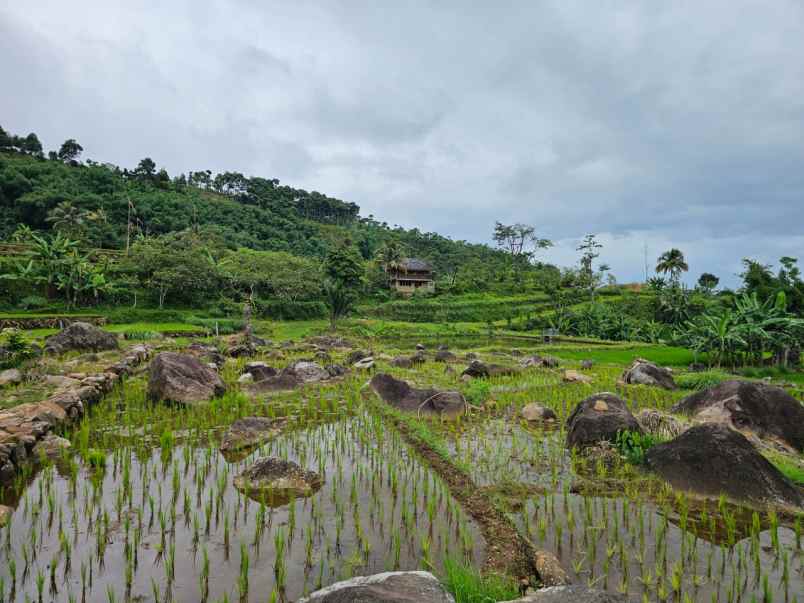 dijual tanah gunung bunder 2 pamijahan