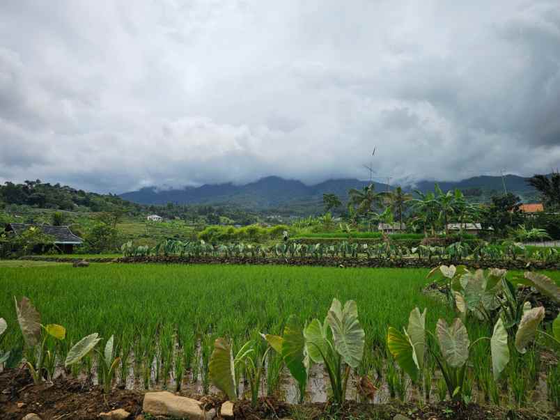 dijual tanah gunung bunder 2 pamijahan