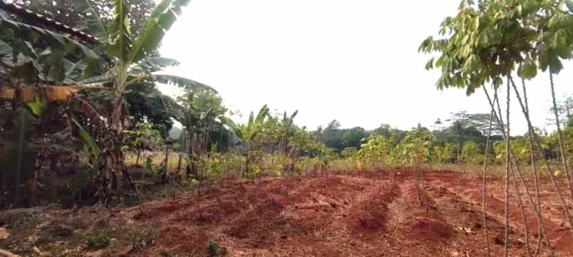 dijual tanah jalan raya mt haryono