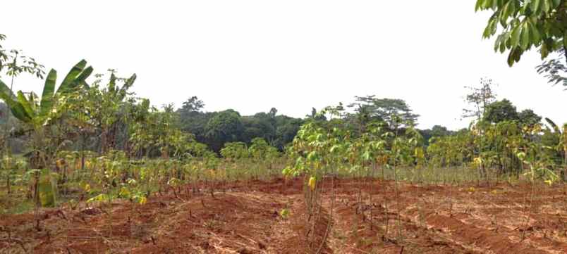 dijual tanah jalan raya mt haryono