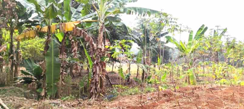 dijual tanah jalan raya mt haryono