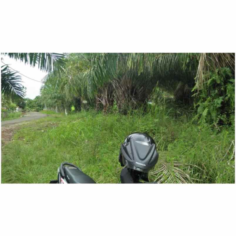 dijual tanah jl alfalah i bumi ayu raya