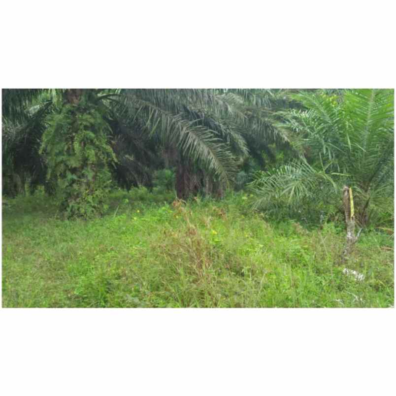 dijual tanah jl alfalah i bumi ayu raya