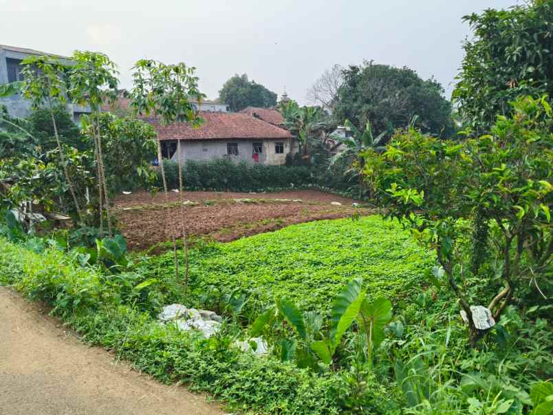 dijual tanah jl kp setu bojong