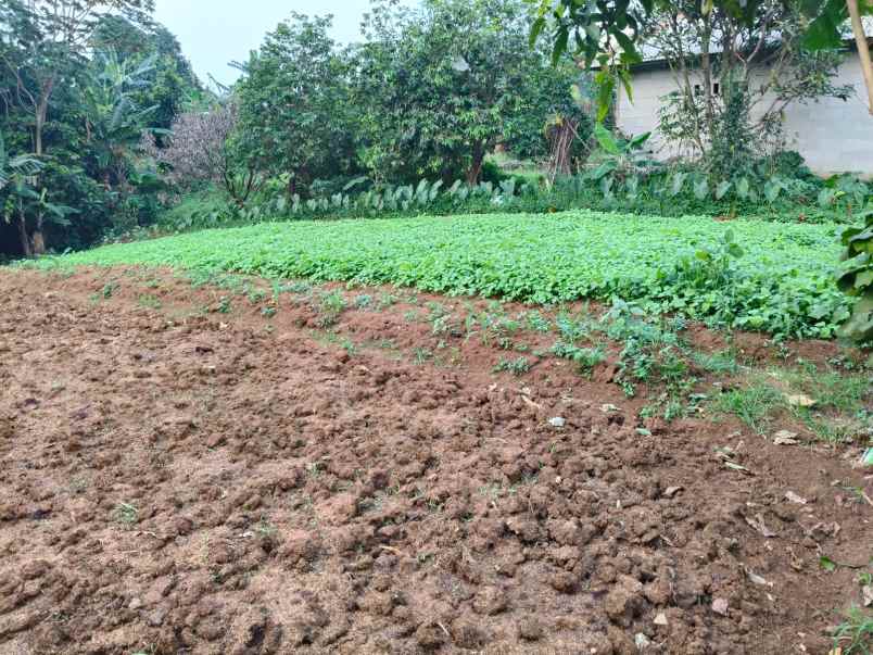 dijual tanah jl kp setu bojong