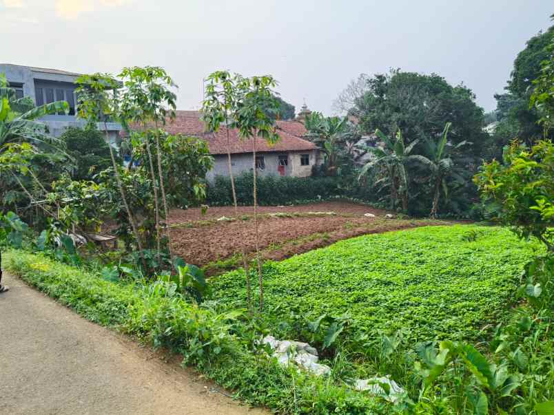 dijual tanah jl kp setu bojong