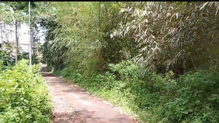 dijual tanah jl pasir teureup cijenuk