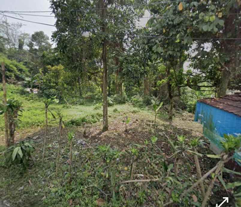 dijual tanah jl raya ciapus buniaga