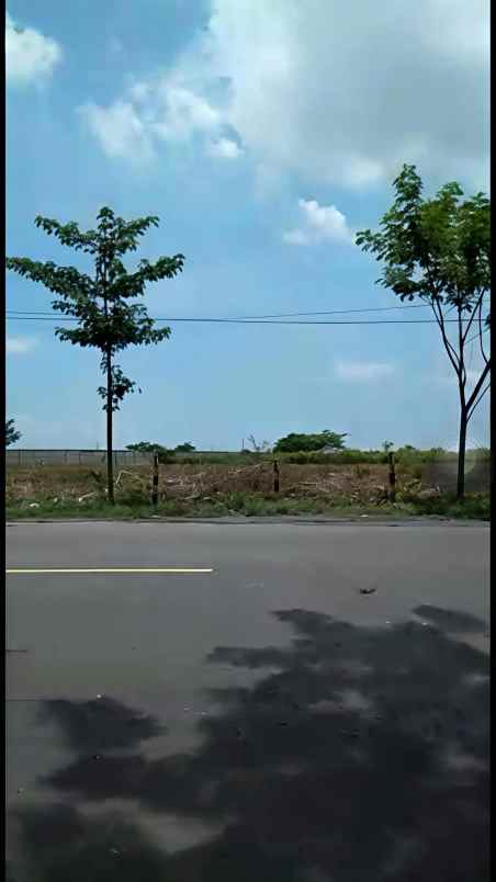 dijual tanah jl raya widang
