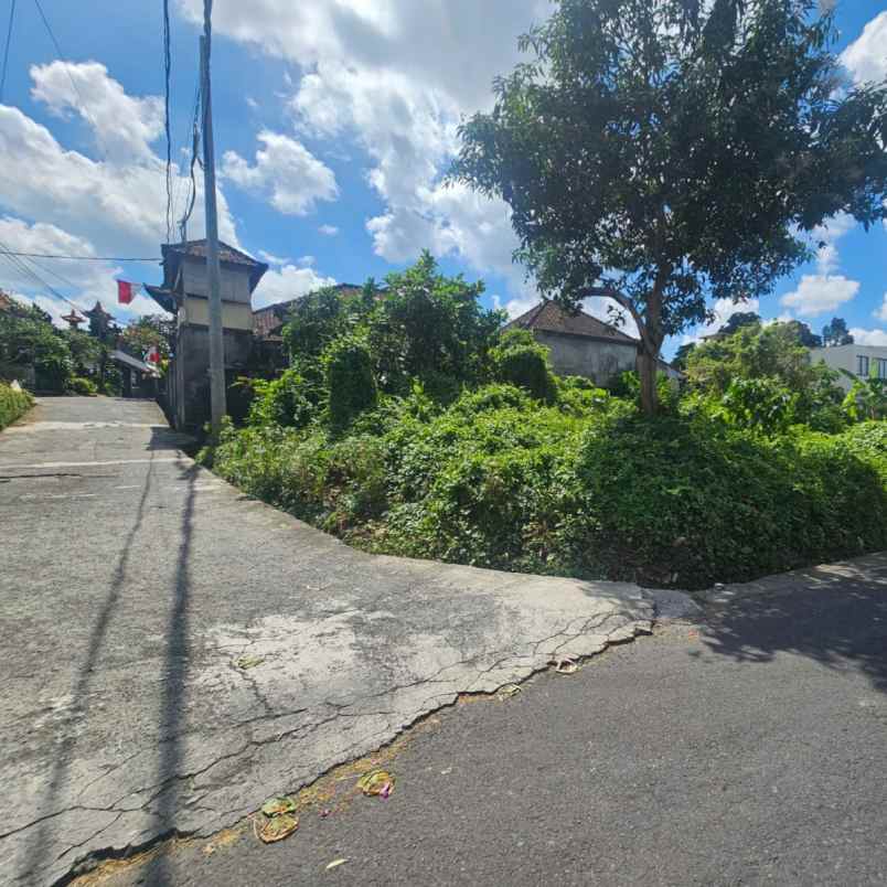 dijual tanah jl tumbak bayuh i