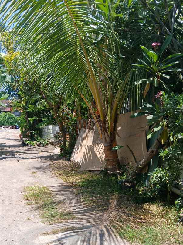 dijual tanah jl tunggak bingin