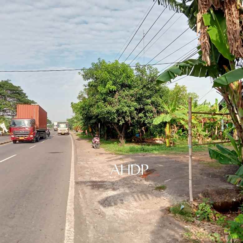 dijual tanah jln pantura pangkalan