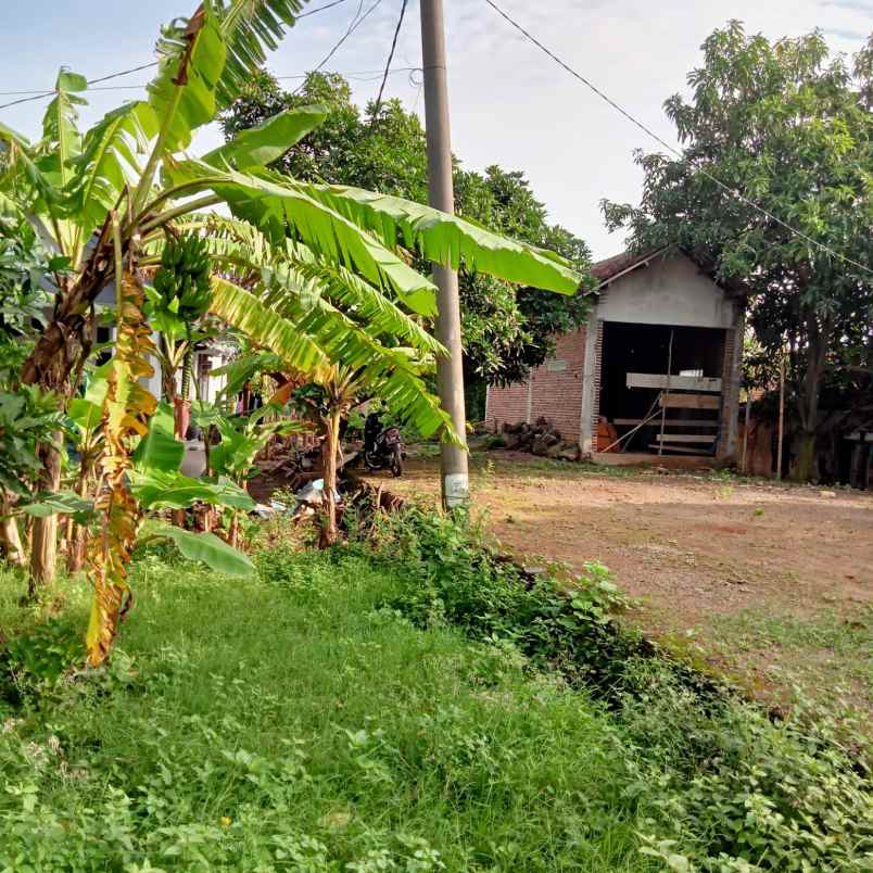 dijual tanah jln pantura pangkalan