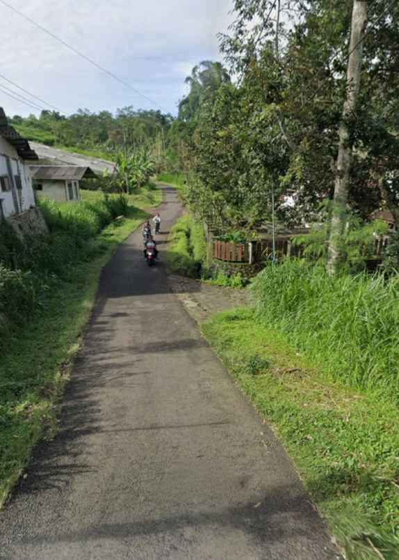 dijual tanah kalipucang