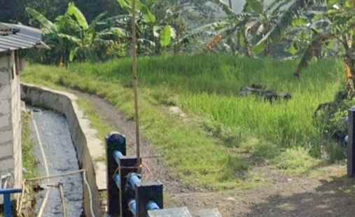 dijual tanah kebun pisang akses jl mobil