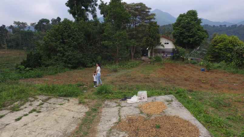 dijual tanah kec wonosalam kab jombang