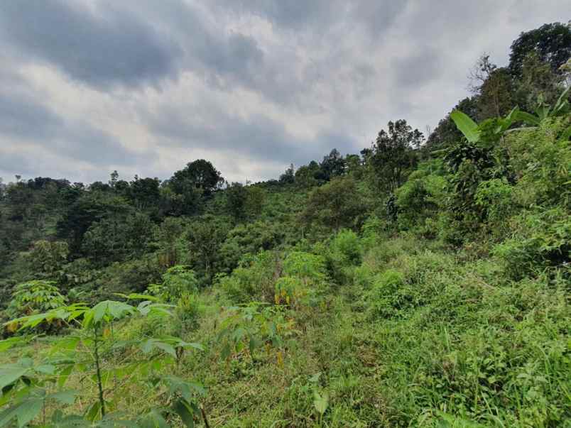 dijual tanah kec wonosalam kab jombang