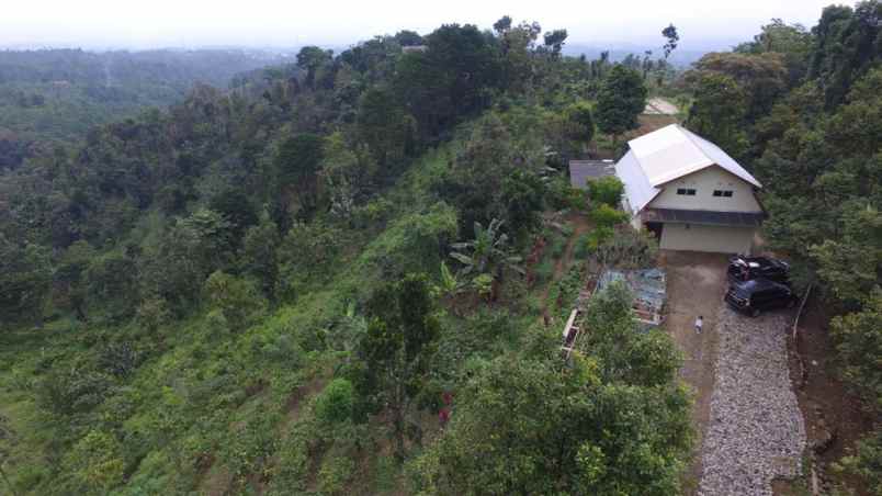 dijual tanah kec wonosalam kab jombang