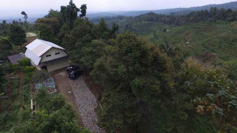 dijual tanah kec wonosalam kab jombang