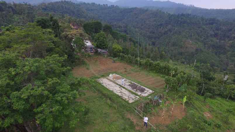 dijual tanah kec wonosalam kab jombang