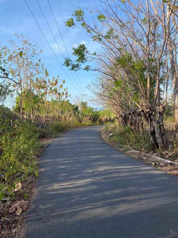 dijual tanah komersial 2 hektar shm di labuhan sumbawa