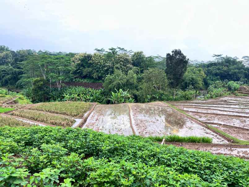 dijual tanah mojogedang